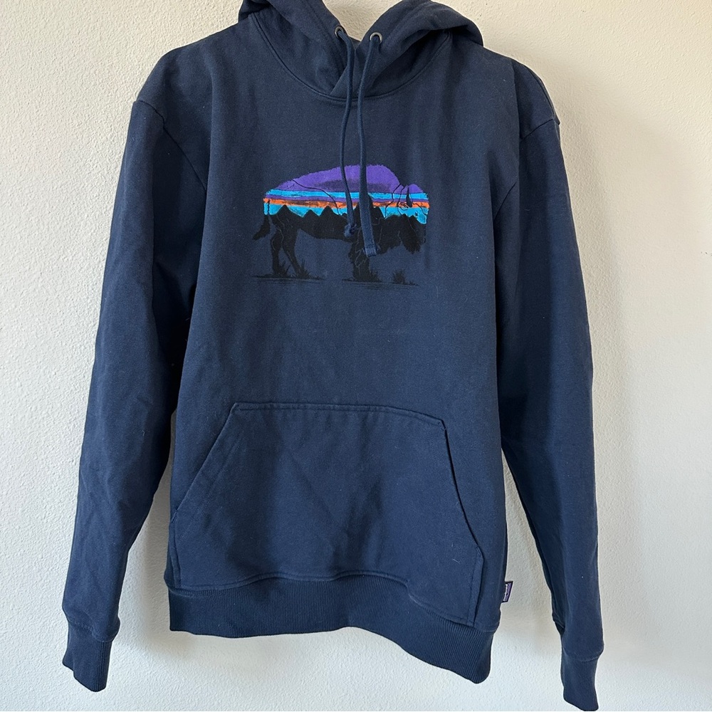 Patagonia Men’s Fitz Roy Bison Hoodie Size Small